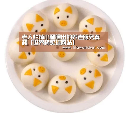 世界杯外围买球官网