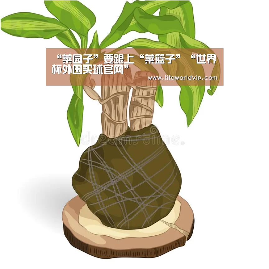 “菜园子”要跟上“菜篮子”“世界杯外围买球官网”(图2) 世界杯买球网站