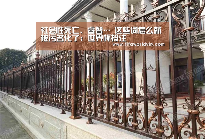世界杯外围买球官网