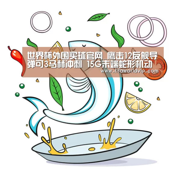 世界杯外围买球官网_鹰击12反舰导弹可3马赫冲刺 15G末端蛇形机动难拦截(图2) 世界杯外围买球官网