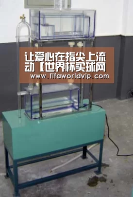 让爱心在指尖上流动【世界杯买球网站】(图3) 世界杯投注