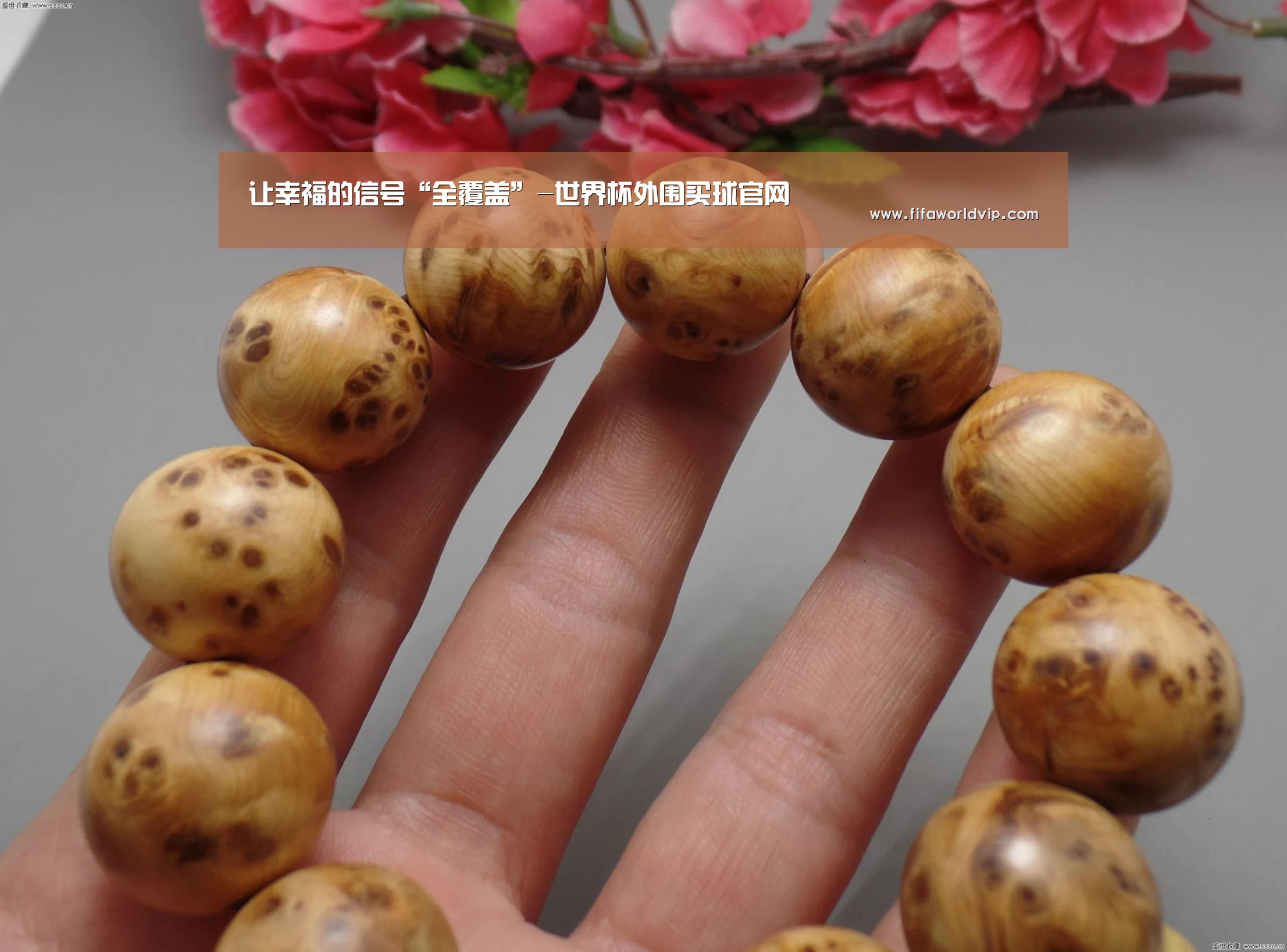 世界杯外围买球官网