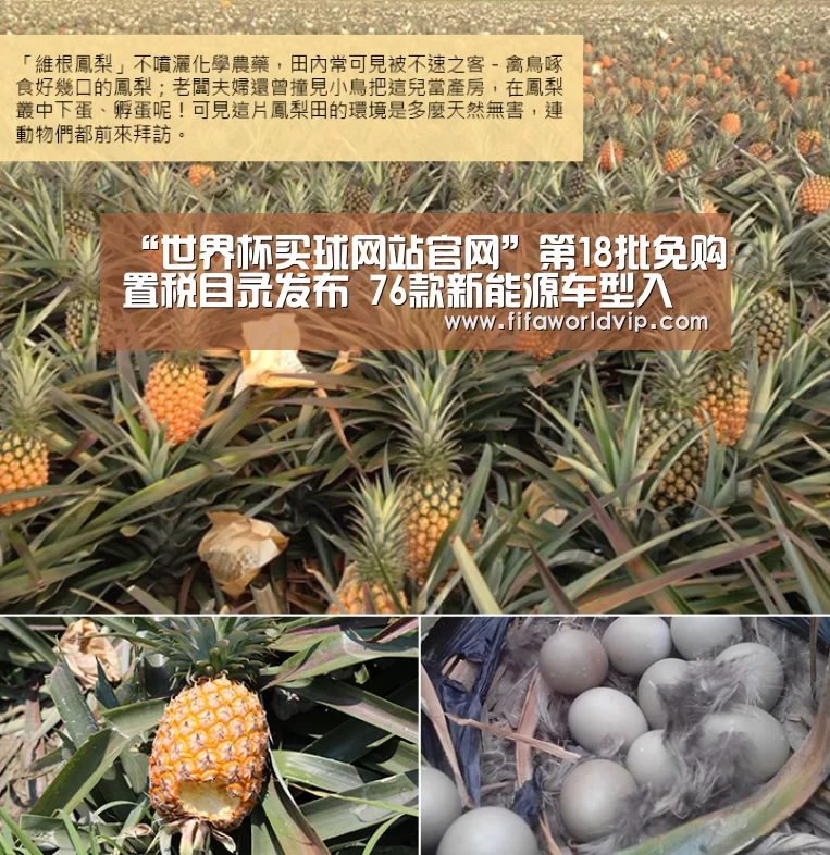 “世界杯买球网站官网”第18批免购置税目录发布 76款新能源车型入选(图1) 世界杯投注
