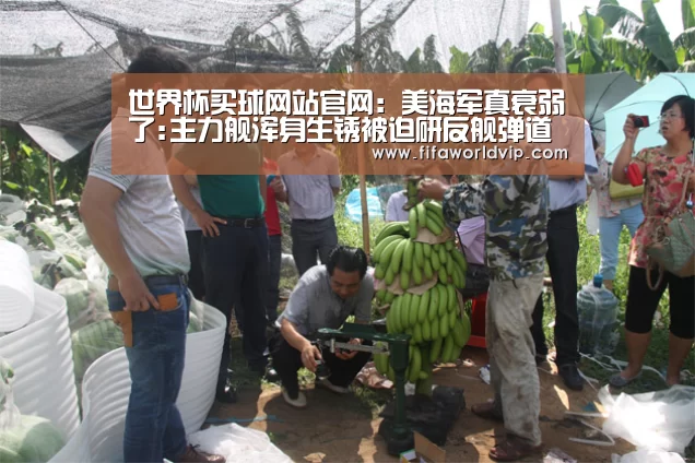 世界杯买球网站官网