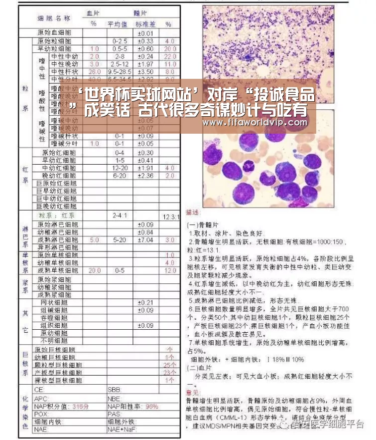 世界杯买球网站官网