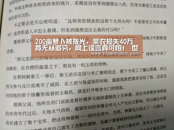 200亩萝卜被拔光,菜农损失40万竟无从追究,网上谣言真可怕!_世界杯买球网站官网(图1) 世界杯投注
