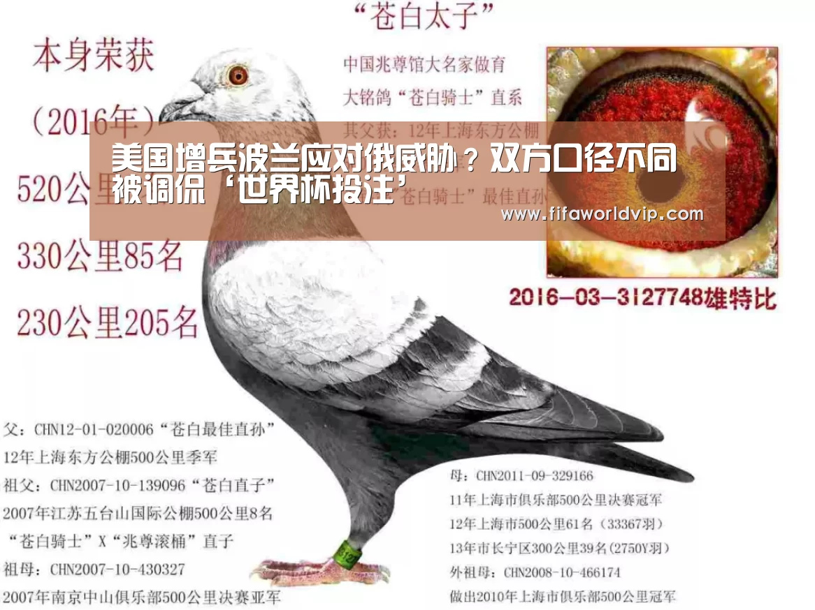 世界杯外围买球官网