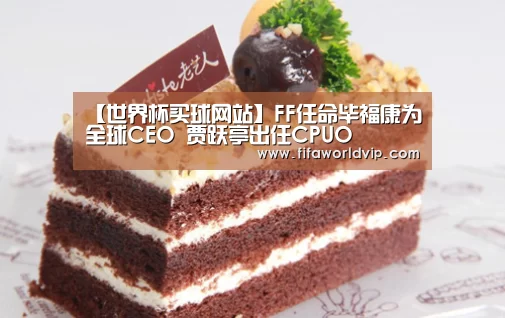 【世界杯买球网站】FF任命毕福康为全球CEO 贾跃亭出任CPUO(图1) 世界杯外围买球官网