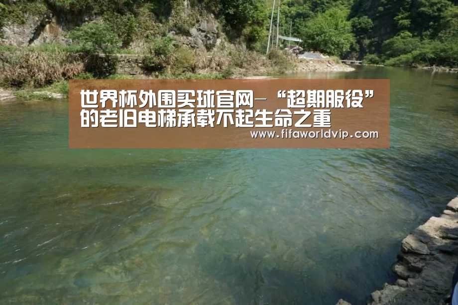 世界杯买球网站